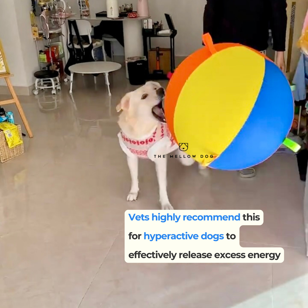 Calming Jumbo Ball