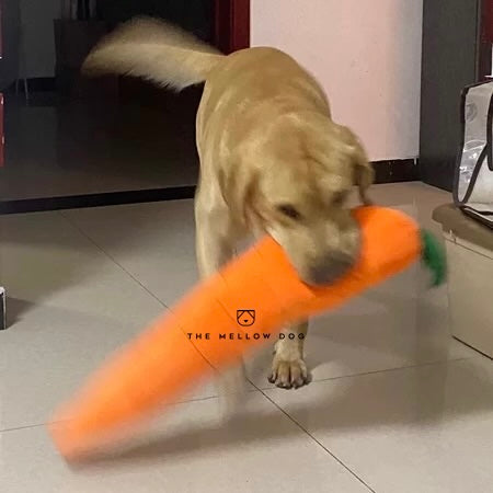 Calming Carrot